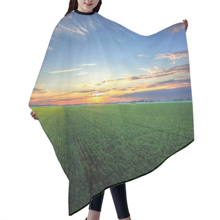 Personality  Aerial View Sunset Over Field Hair Cutting Cape