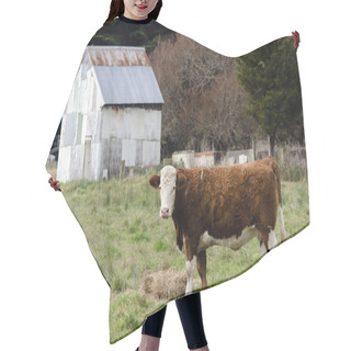 Personality  Steer Bull Hair Cutting Cape