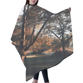 Personality  Autumn Park With Lawn And Walkways In New York City Hair Cutting Cape