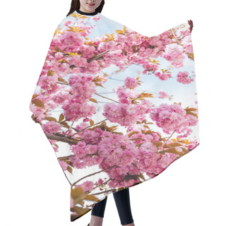 Personality  Low Angle View Of Branches With Blossoming Pink Flowers On Cherry Tree Hair Cutting Cape