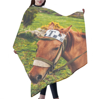 Personality  Horse Hair Cutting Cape