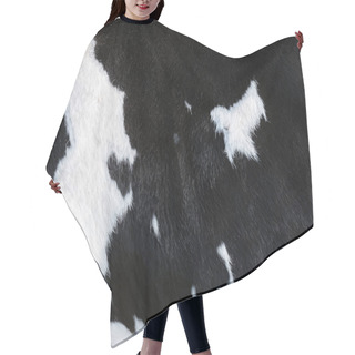 Personality  Closeup Of Part Black And White Hide Of Spotted Cow Hair Cutting Cape