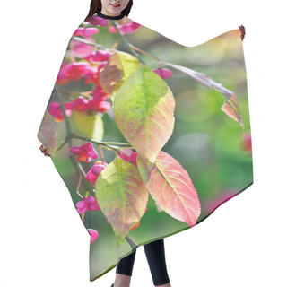 Personality  Beautiful Autumn Background Is With The Sprig Of Spindle Tree (Euonymus Europaeus) Hair Cutting Cape