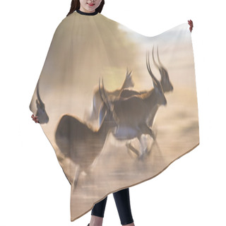 Personality  Adult African Gazelles  Running Hair Cutting Cape