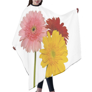 Personality  Beautiful And Colorful Daisy Flowers On White Background Hair Cutting Cape