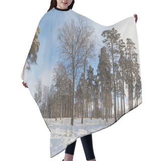 Personality  In Pine Wood Winter, Frosty, A Sunny Day Hair Cutting Cape