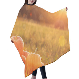 Personality  Pumpkins Outdoor Hair Cutting Cape