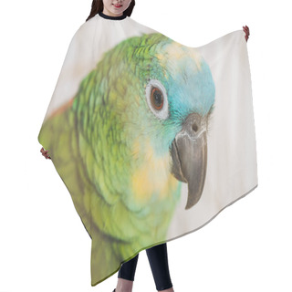 Personality  Selective Focus Of Beautiful Green Parrot With Multicolored Head Hair Cutting Cape