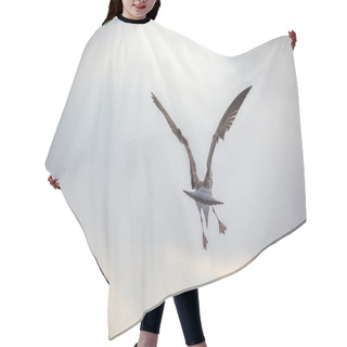 Personality  Flying Seagull Over The Blue Sea Hair Cutting Cape