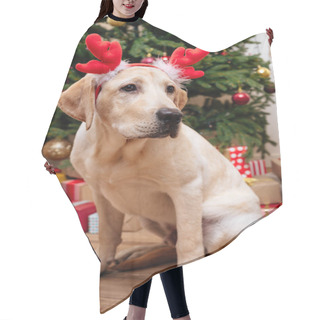 Personality  Labrador With Christmas Reindeer Antlers Hair Cutting Cape