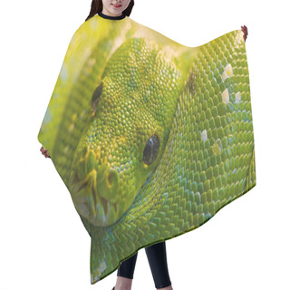 Personality  Green Snake Hair Cutting Cape