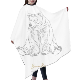 Personality  Vector Illustration Of Sitting Brown Bear Forest Animal Hair Cutting Cape
