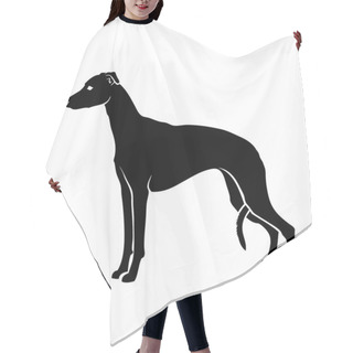 Personality  Vector Illustration Of Whippet Isolated On White Background  Hair Cutting Cape