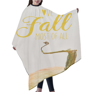 Personality  Close Up Of One Ripe Pumpkin Isolated On White With I LOVE FALL MOST OF ALL Lettering Hair Cutting Cape