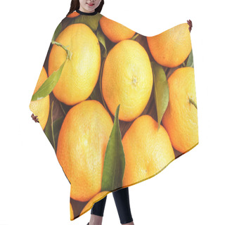 Personality  Fresh Organic Clementines Hair Cutting Cape