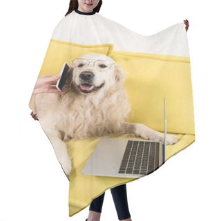 Personality  Partial View Of Woman Holding Smartphone And Golden Retriever In Glasses Lying On Yellow Sofa Hair Cutting Cape