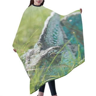 Personality  Beautiful Bright Green Chameleon Sitting In Green Grass Hair Cutting Cape