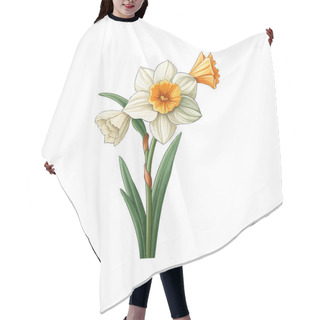Personality  White Daffodils With Yellow Centers. Vector Illustration Design. Hair Cutting Cape
