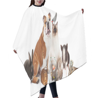 Personality  Row Of Popular Domestic Pets Hair Cutting Cape
