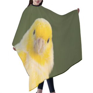 Personality  Beautiful Yellow Canary  Hair Cutting Cape