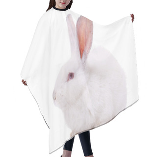 Personality  Rabbit Hair Cutting Cape