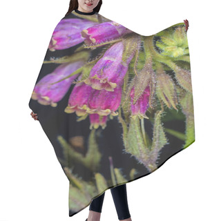 Personality  Comfrey Hair Cutting Cape