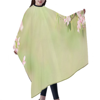 Personality  Pink Apple Blossoms On A Background Of Blurred Green. Spring Background. Blossoming Garden. Hair Cutting Cape