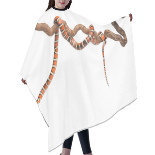 Personality  Milk Snake With Smooth And Shiny Scales Hair Cutting Cape