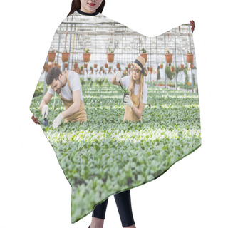 Personality  Smiling Gardeners Planting Flowers In Greenhouse Hair Cutting Cape