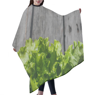 Personality  Salad Leaves On Wooden Table Hair Cutting Cape