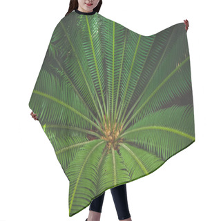Personality  Close Up View Of Beautiful Green Palm Leaves Hair Cutting Cape