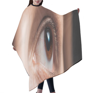 Personality  Close Up View Of Human Eye Looking Away, Panoramic Shot Hair Cutting Cape