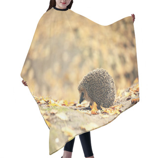 Personality  Hedgehog Hair Cutting Cape