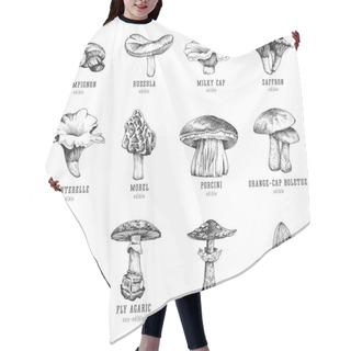 Personality  Forest Types Of Mushrooms Collection, Edible And Non-edible Boletus In Retro Sketch Vector Style. All Elements Isolated. Hair Cutting Cape