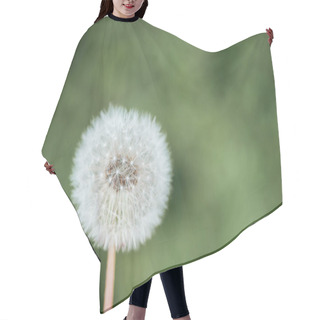 Personality  Close Up View Of Fluffy Dandelion On Blurred Green Background Hair Cutting Cape