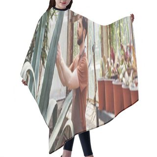 Personality  Handsome And Bearded Gardener In Apron Checking Leaves Of Aloe Vera Plant In Greenhouse, Banner Hair Cutting Cape