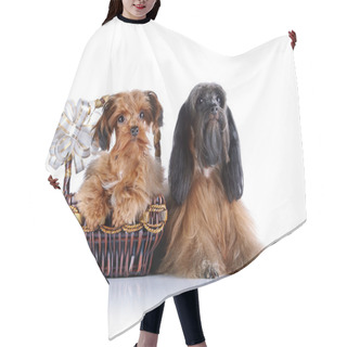 Personality  Decorative Doggies With A Basket And A Bow. Hair Cutting Cape