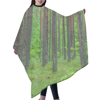Personality  Green Dense Forest Hair Cutting Cape