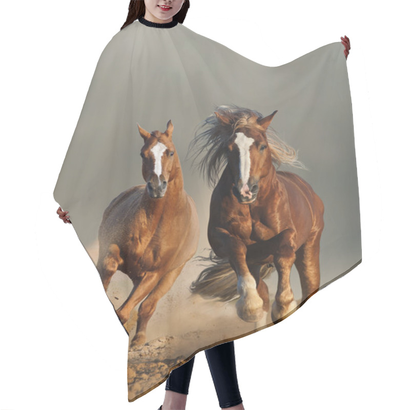 Personality  Two Wild Chestnut Horses Running, Front View Hair Cutting Cape