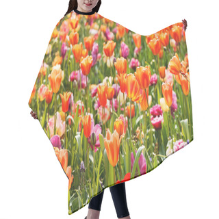 Personality  Spring Fields Of Tulips In Holland Hair Cutting Cape