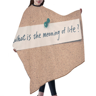 Personality  What Is The Meaning Of Life Hair Cutting Cape