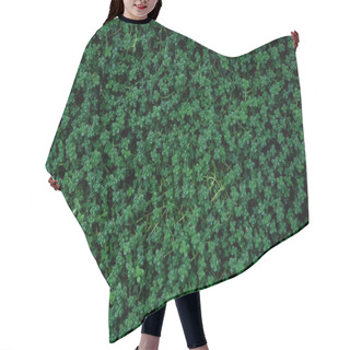 Personality  Top View Of Green Plants With Small Leaves Hair Cutting Cape