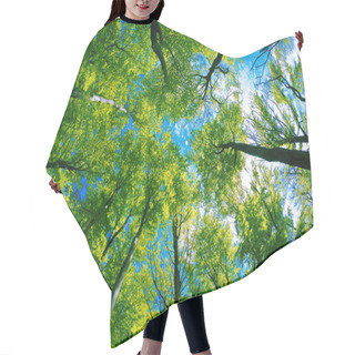 Personality  Tree Canopy Hair Cutting Cape