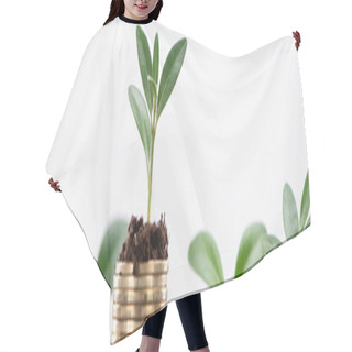 Personality  Panoramic Shot Of Golden Coins With Leaves And Soil Isolated On White, Financial Growth Concept Hair Cutting Cape