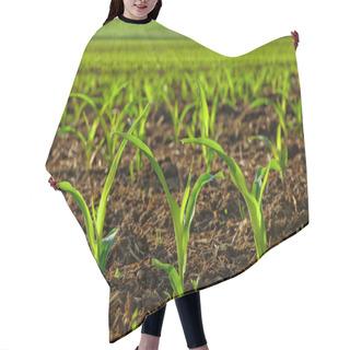 Personality  Sunlit Young Corn Plants Hair Cutting Cape