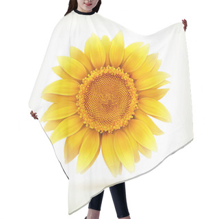 Personality  Sunflower, High Quality Vector Illustration Hair Cutting Cape