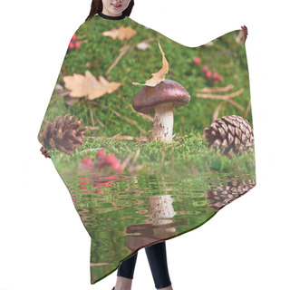 Personality  Brown Suillus Mushroom In The Forest, Nestled Among Green Moss And Reflected In The Water. A Magical Woodland Moment, Serene And Captivating. Hair Cutting Cape