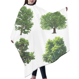 Personality  Collection Green Trees. Vector Illustration Hair Cutting Cape