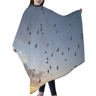 Personality  Flock Of Jackdaws Hair Cutting Cape