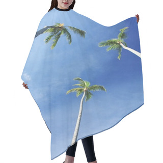 Personality  Exotic Coconut Palm Trees On The Beach Hair Cutting Cape